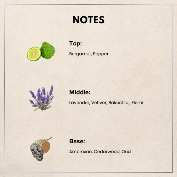 Play – Body Mist - Image 3