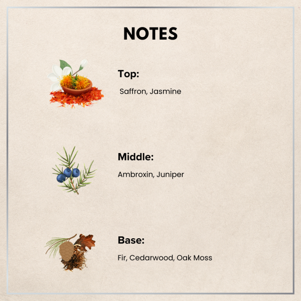 Foret Fragrance Oil - Unisex - Image 3