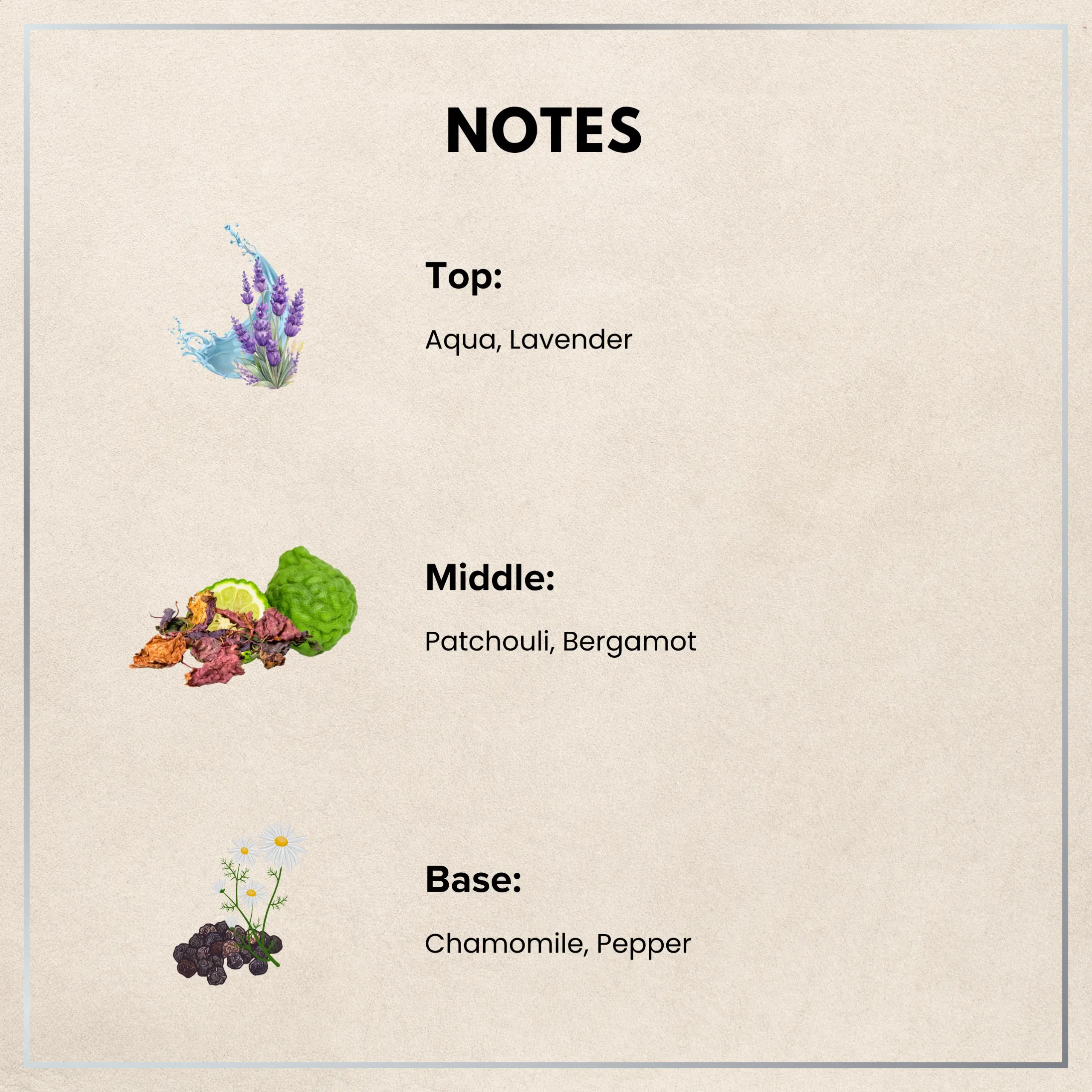 Car Perfume - Serene | 10ml - Image 3